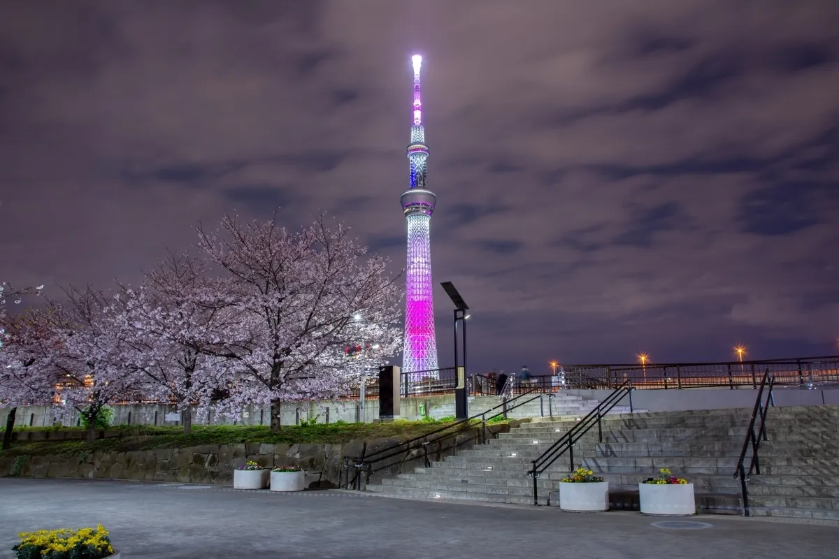 Iluminación desde el parque Sumida