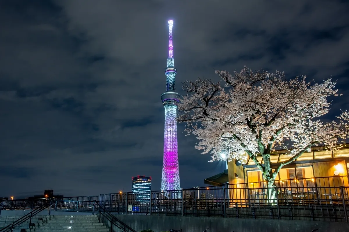 Iluminación desde el parque Sumida
