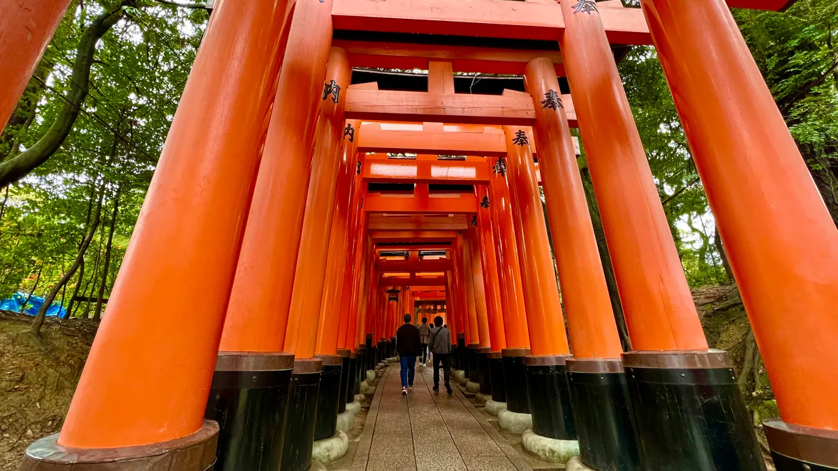 Mil Puertas Torii