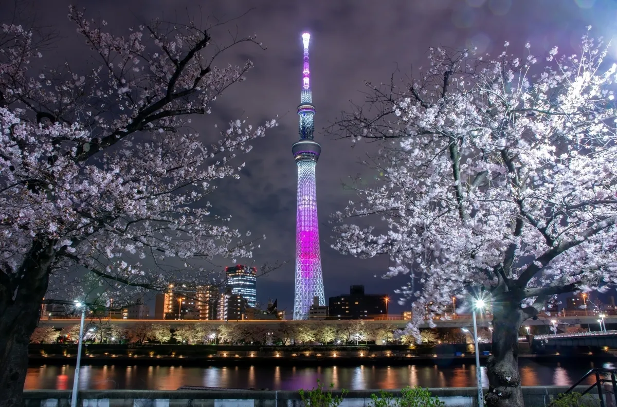 Iluminación desde el parque Sumida