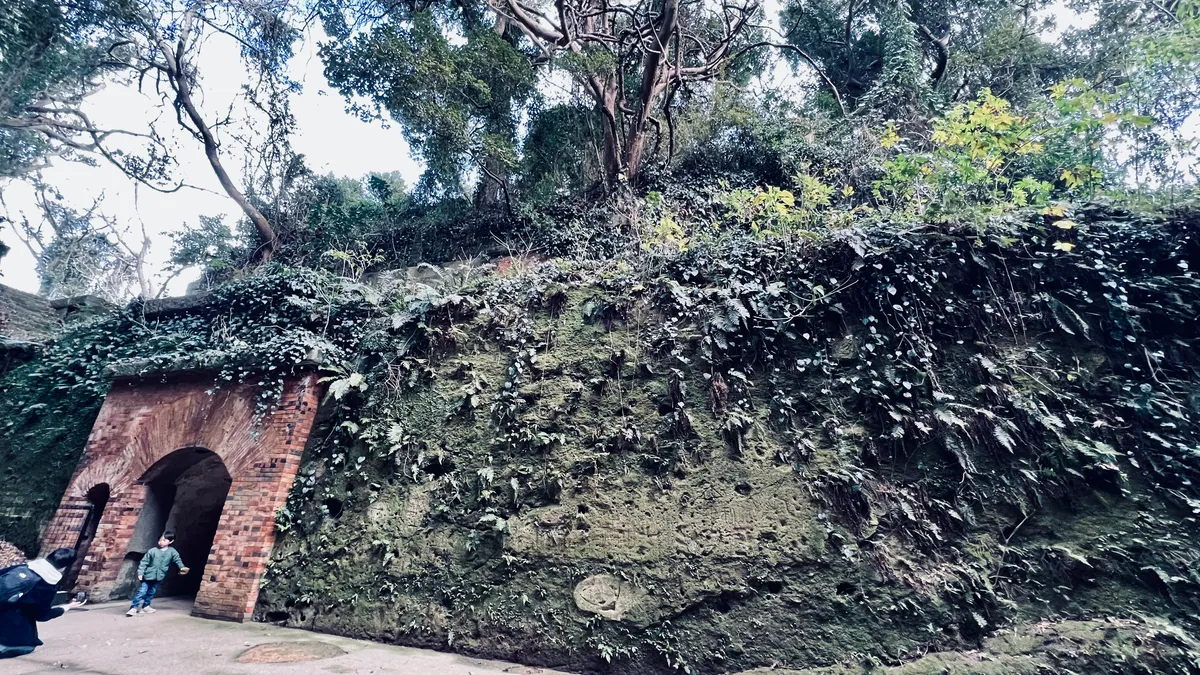 La fortaleza y la naturaleza se fusionan