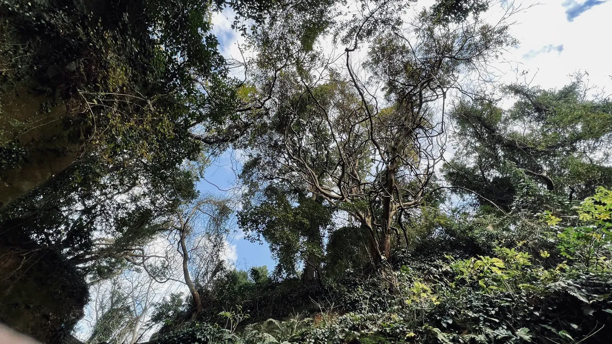 La fortaleza y la naturaleza se fusionan