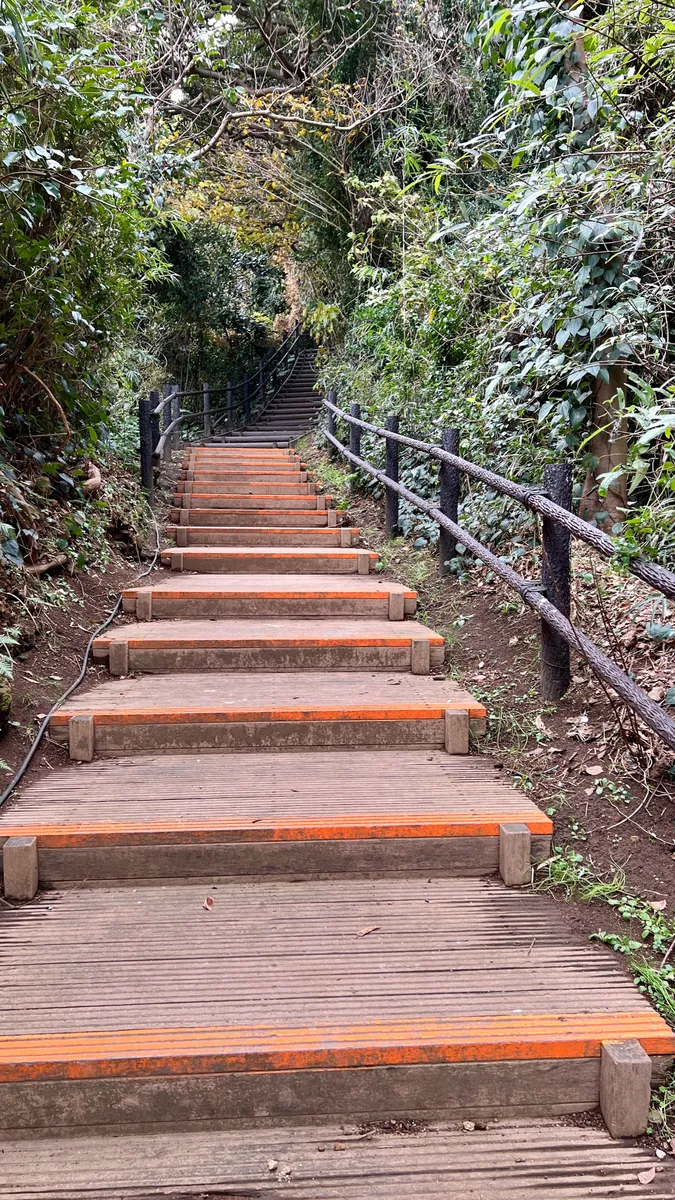 Escaleras al mirador