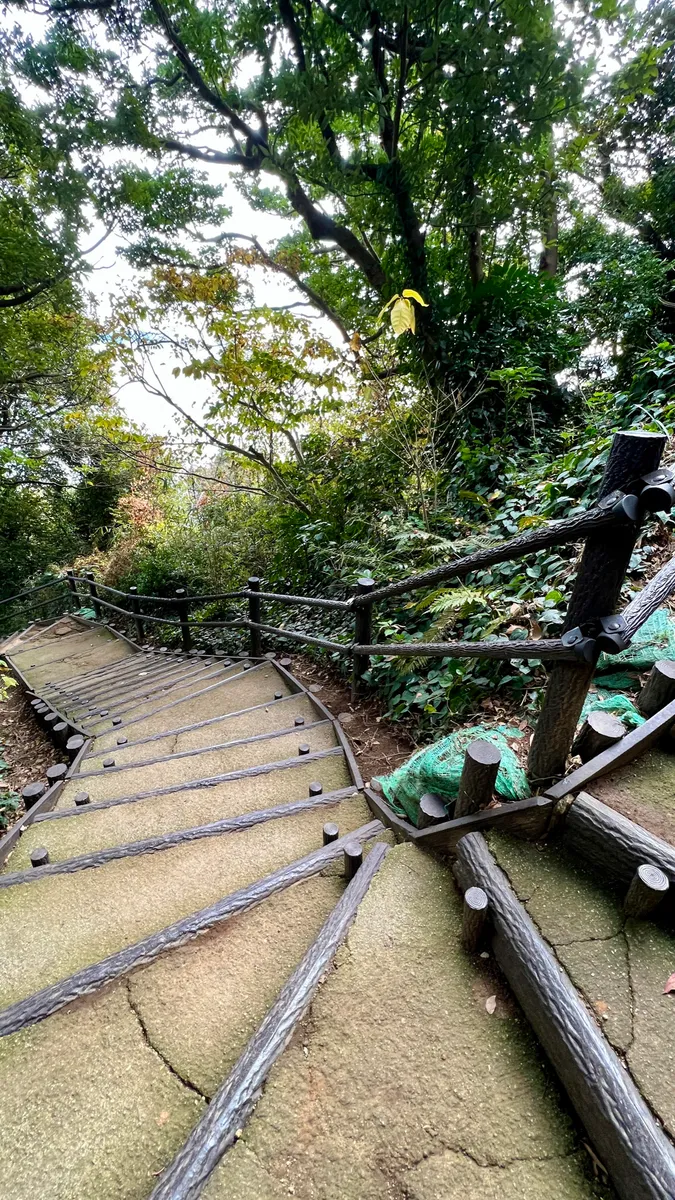 Escaleras al mirador