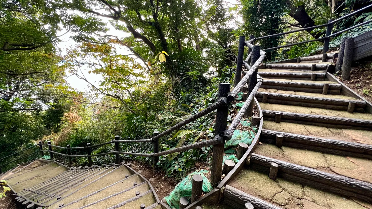 Escaleras al mirador