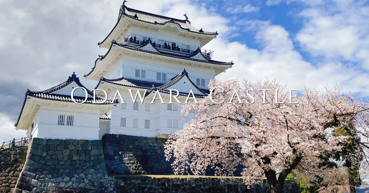 Castillo de Odawara: puedes convertirte en un ninja. Puedes conocer samuráis.