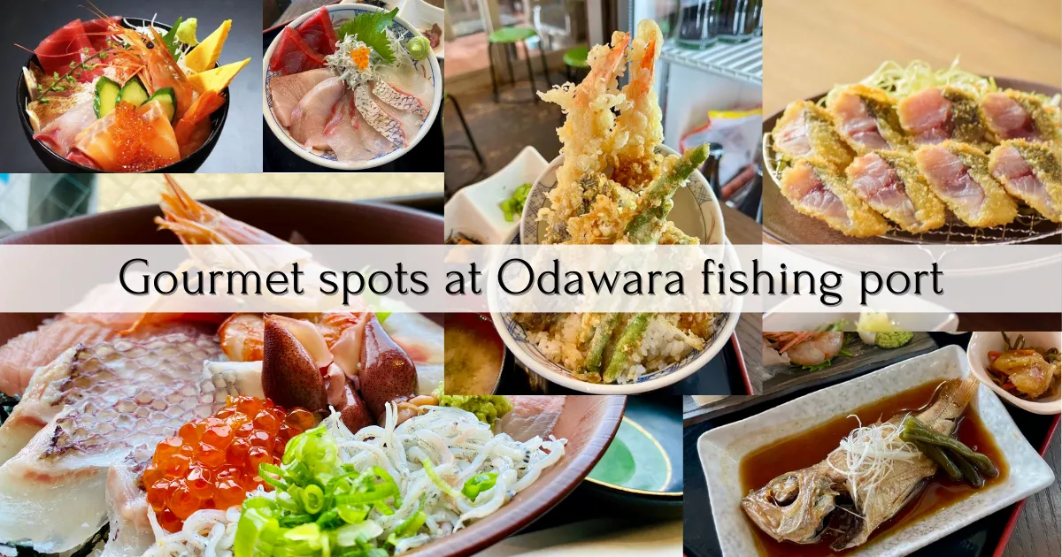Resumen del lugar gourmet del puerto pesquero de Odawara: ¡5 minutos a pie! ¡Disfruta del marisco en el puerto pesquero más cercano a la estación en Japón!