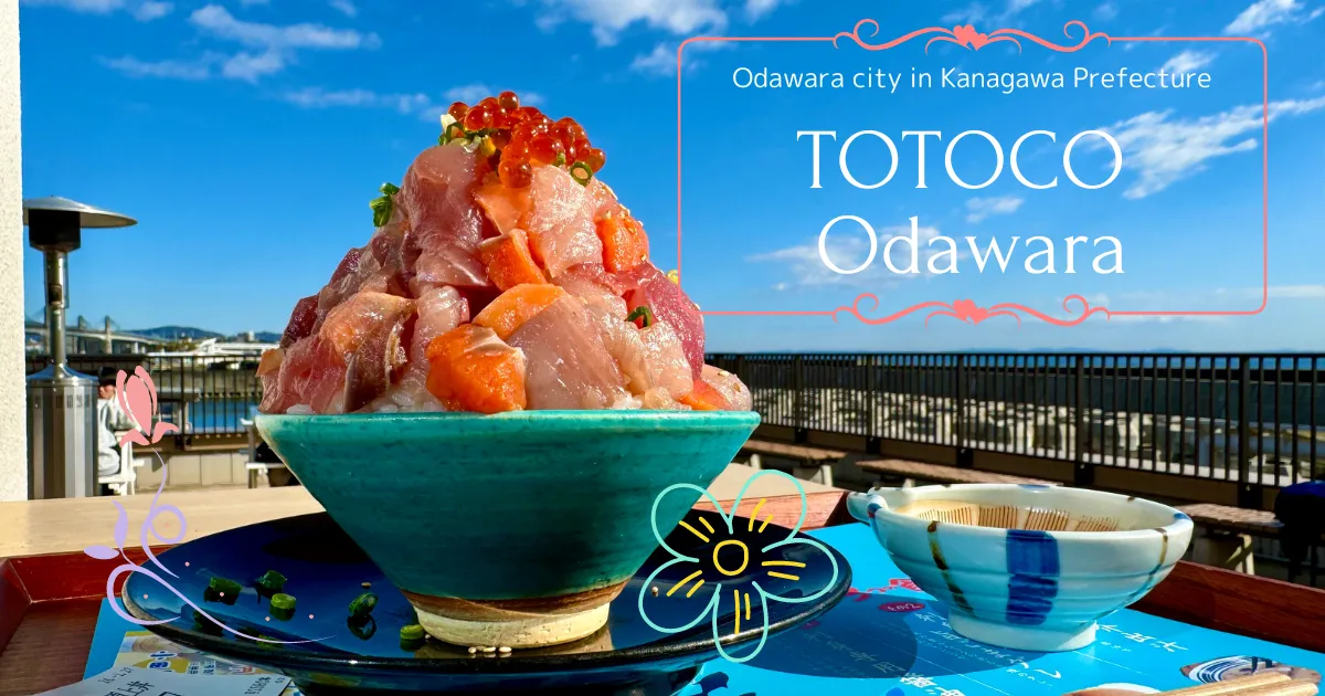 TOTOCO Odawara: un lugar súper popular para disfrutar de mariscos frescos en Odawara