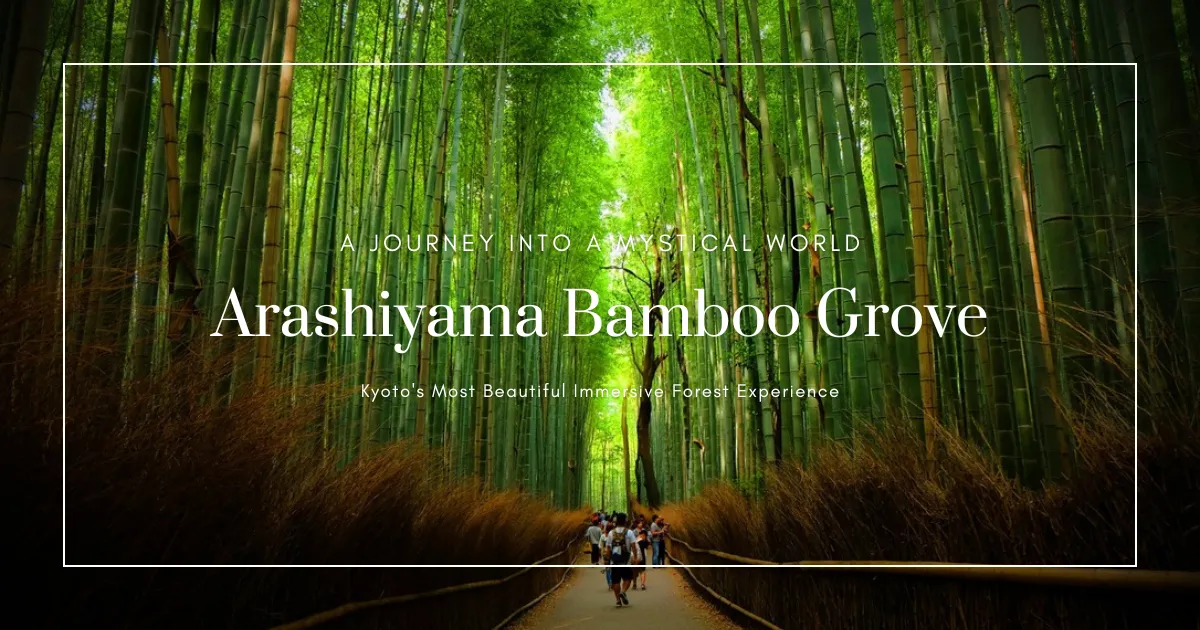 Bosque de Bambú de Arashiyama: La Experiencia Natural Más Hermosa de Kioto