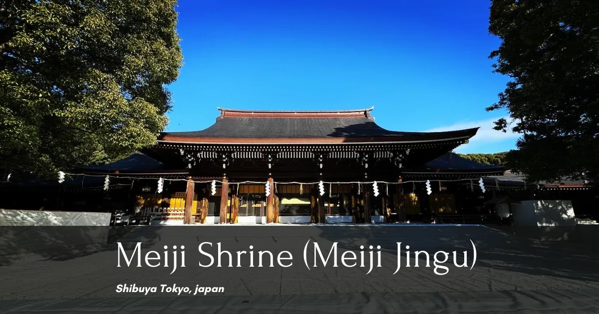 Santuario Meiji: el mayor número de visitantes de Año Nuevo en Japón. su encanto divino