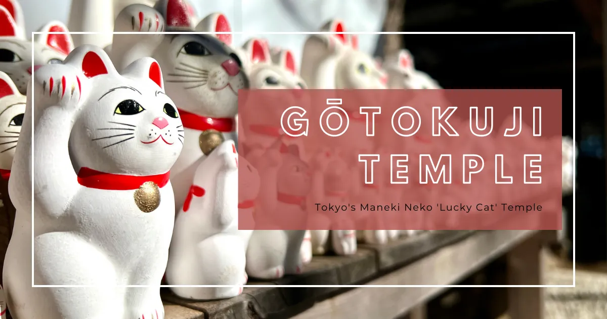 Templo Gotokuji: El Santuario Imperdible para Amantes de los Gatos en Tokio con 500 Años de Historia