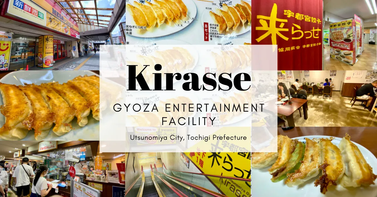Kirasse: Compara los gustos de Utsunomiya gyoza. Instalación de entretenimiento de Gyoza
