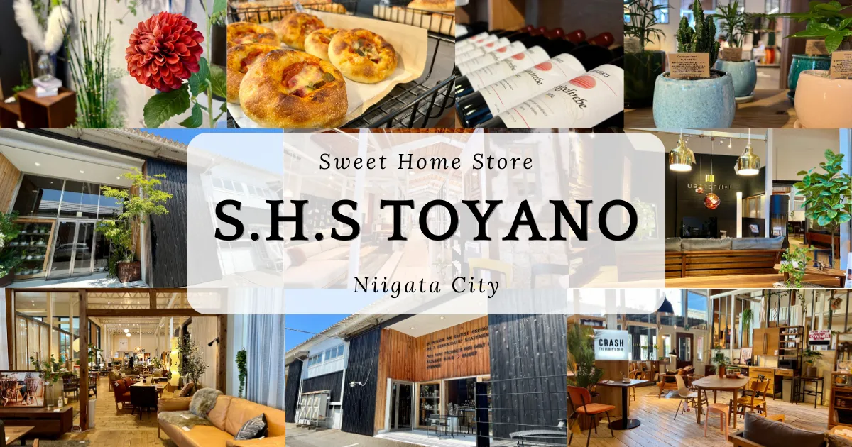 S.H.S Toyano: una popular tienda de muebles e interiores en Niigata. El diseño general del espacio es maravilloso.