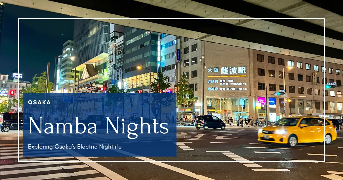 Namba después del anochecer: Guía de los distritos nocturnos vibrantes de Osaka