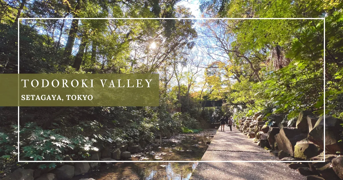 Valle de Todoroki: Un Escape a la Naturaleza en Tokio, a Solo 30 Minutos del Centro