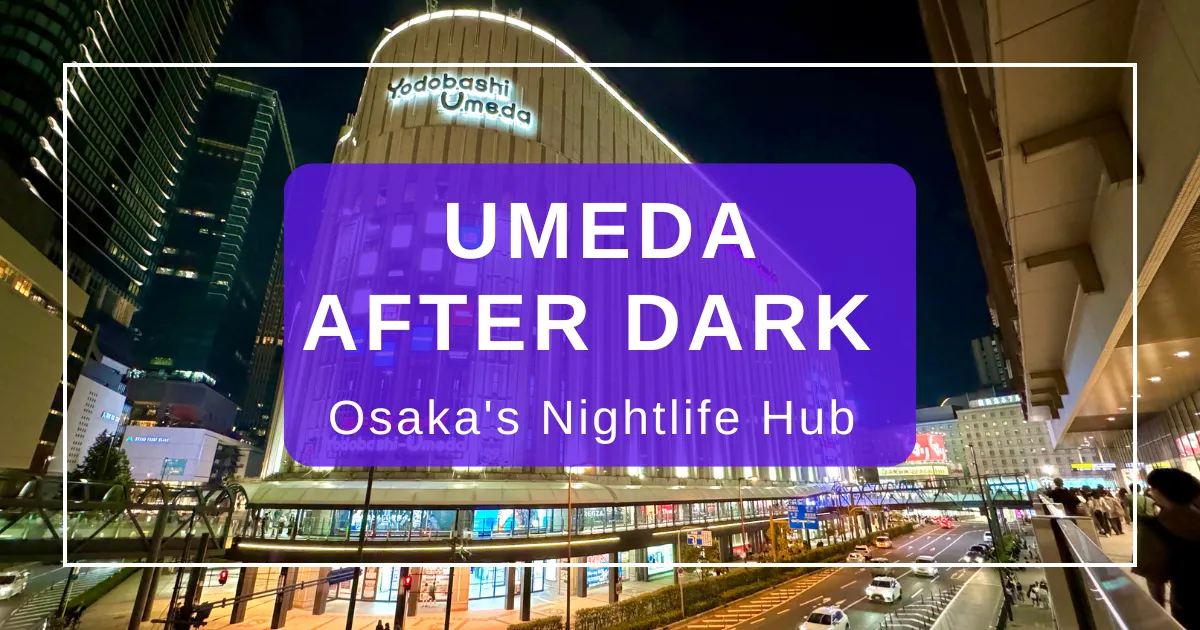 Osaka Después del Anochecer: Tu Guía Definitiva de los Vibrantes Distritos Nocturnos de Umeda