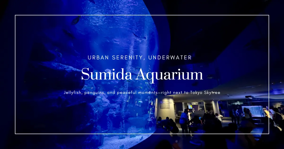 Guía de los puntos destacados del Acuario Sumida | Un mundo fascinante de medusas y pingüinos justo al lado de Tokyo Skytree