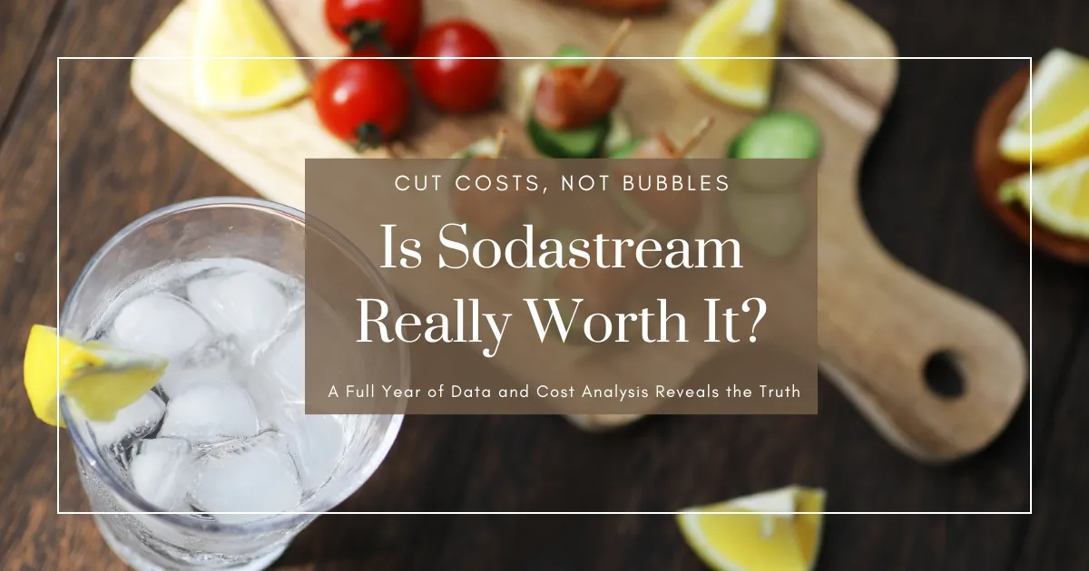 ¿Vale la pena Sodastream? Un año completo de datos y análisis de costos revela la verdad