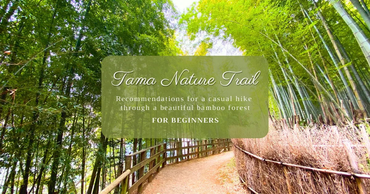 Tama Nature Promenade: recomendación para una caminata fácil con una rica naturaleza y un hermoso bosque de bambú